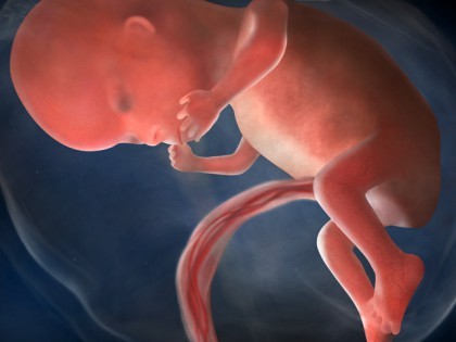 Verwonderend 12 weken zwanger | Brabbels TB-01