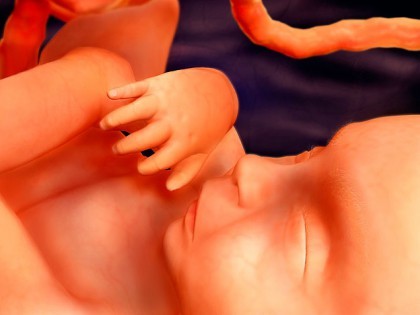 35 Weken Zwanger Brabbels